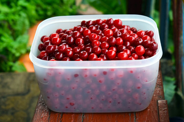 Ripe red cherry close-up. Background of berries and fruits.