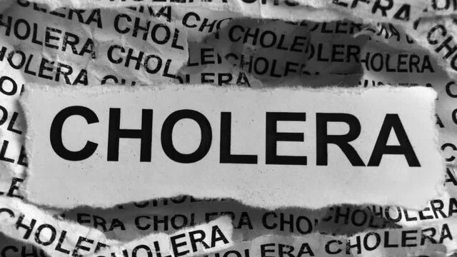 Strips of newspaper with the words Cholera. Black and white.