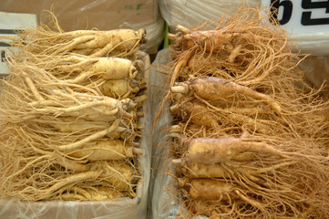 Ginseng