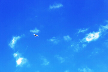 blue sky with clouds