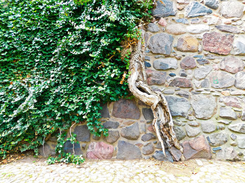 Historische Stadtmauer aus dem 13. Jahrhundert