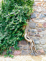 Historische Stadtmauer aus dem 13. Jahrhundert