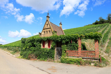 Fototapeta na wymiar Beautiful Building in a Vineyard at the Wartberg, Heilbronn, Germany, Europe
