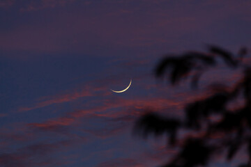 Half Crescent moon in the sky during the sunset