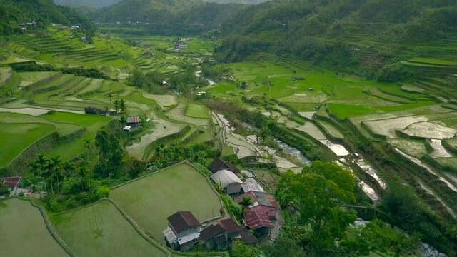 Hapao Rice Terraces Drone Philippines