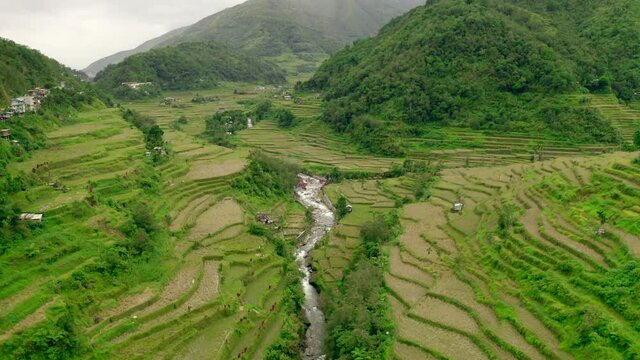 Hungduan Rice Terraces Drone