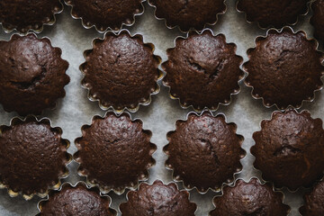 Fresh baked chocolate muffins standing in a form with paper. Top view.