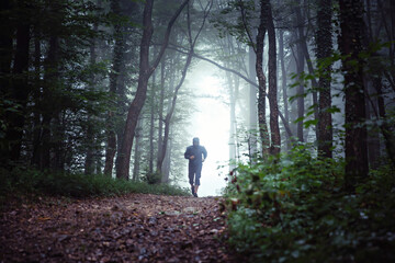 Obraz premium Misty forest landscape, with male runner, trail running in the distance.
