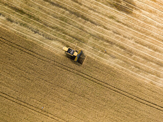 Aerial drone view. The harvester harvests wheat in the Ukrainian field.