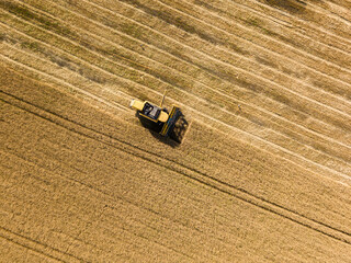 Aerial drone view. The harvester harvests wheat in the Ukrainian field.