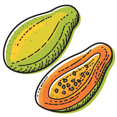 Papaya isolated on white background. Vector illustration of fruit.
