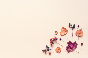 Autumn pastel background made of leaves, berries and cones. Flat lay, top view. Copy space for text.