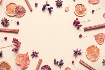 Autumn pastel background made of leaves, berries and spices. Flat lay, top view. Copy space for text.