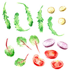 Hand drawn watercolor food sketch