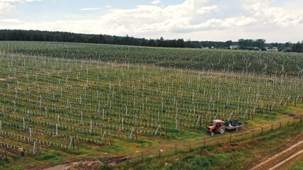 Tractor in the Agricultural field, aerial. Apple plantation. High quality photo