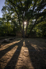 Obraz premium Disibodenberg