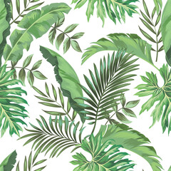 Motif vectoriel de feuilles tropicales. illustration botanique d& 39 été pour vêtements, couverture, impression, conception d& 39 illustration.
