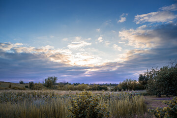 Sunset over sunflowers, rural gardens and orchards. Summer rural background, landscape. The concept of agriculture and the beauty of nature.