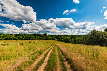 rural landscape dirt road in the field