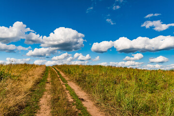 Fototapeta na wymiar rural landscape dirt road in the field