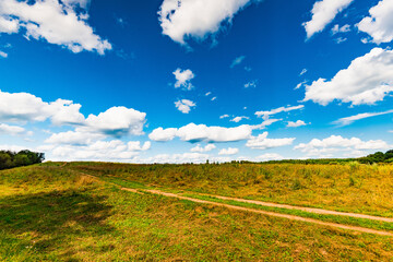 rural landscape dirt road in the field