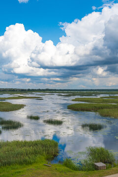 Lake Lubans, the biggest lake in Latvia. Shallow drainage lake, fed by the Rēzekne, Malta, Malmuta and Lisinja rivers and several smaller brooks, ponds, reeds, white water lilies, with reflections
