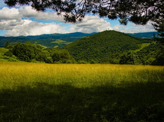 View from under the branch to Jarmuta Mountain. Pieniny National Park.