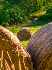 Round bale of straw in the meadow, framed by two bales in the foreground