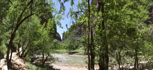 summer in Zion National Park,Utah,USA