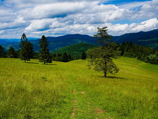 Obraz premium Huściawa Mountain. Pieniny National Park. Polish-Slovakian border