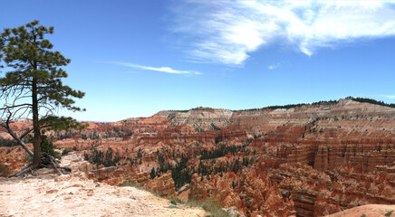 Summer in Bryce Canyon National Park