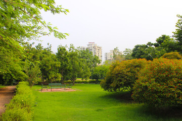 A picture of garden