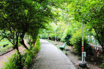 A picture of way in  garden