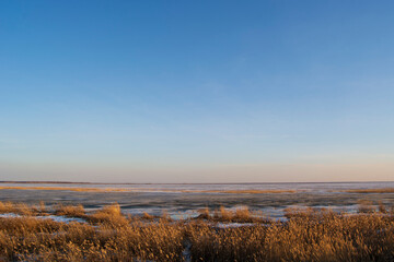 Obraz premium spring lake and reeds and sunset time with a clear sky