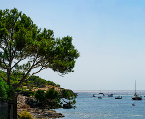 wunderschöner panorama ausblick von der bucht von playa de palma, mallorca, spanien  © Laurence