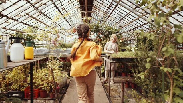 Following shot of joyous little girl running through greenhouse farm, hugging loving grandmother and looking at young plant in pot