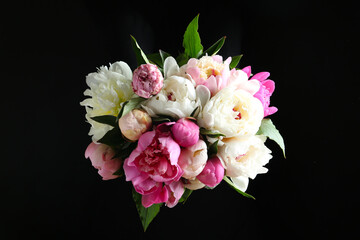 Bouquet of beautiful peonies on black background