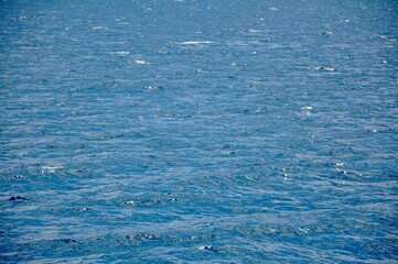 blue water surface