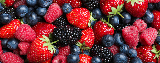 Obraz na płótnie Canvas Mix of different fresh berries as background, banner design
