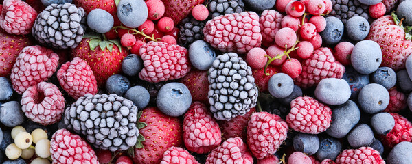 Mix of different frozen berries as background, banner design