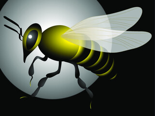 Big bee on abstract dark background, design element.