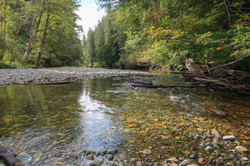 Autumn landscape of water and forest in Mount Rainier National Park
