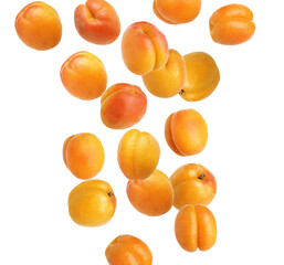 Whole ripe apricots falling on white background