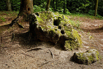 Fototapeta premium Strange shaped stones called sun temple because of legend about pagan Slavic religion rituals at place. Karst mysterious limestone outliers covered by moss. Forest area.