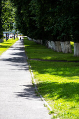 landscape with clouds, trees and natural corners