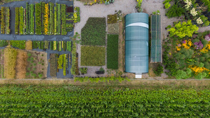 Fototapeta premium Flowers, seedling and pots near greenhouse. Top view making by drone from abve. Nature pattern