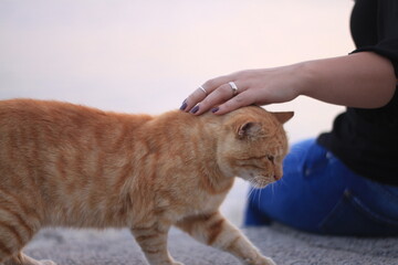 young woman with cat