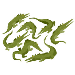Set of crocodile or alligators isolated on white background, Crocodile Character In Different Poses Childish Stickers