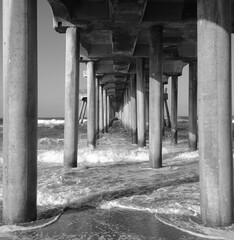 Black and white under the pier