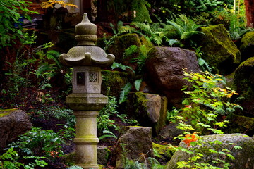 Japanese garden beauty